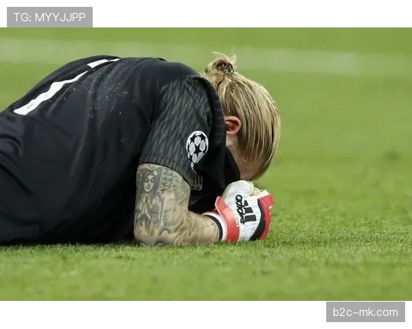 沙尔克04门将卡里乌斯：踢欧洲杯是我的目标